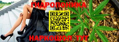 амф Тара
