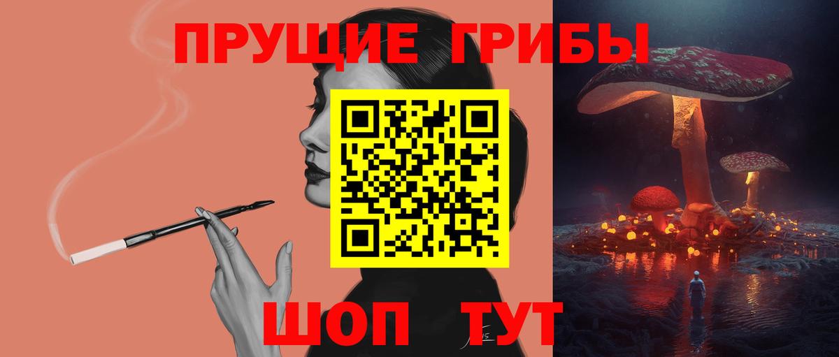 Псилоцибиновые грибы мицелий Мурино